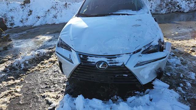 Lexus NX 2020