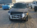 Ford Escape 2012