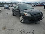 Ford Escape 2015