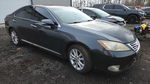 Lexus ES 2010