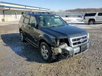 Ford Escape 2008