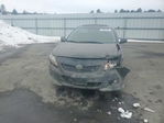 Toyota Corolla 2009
