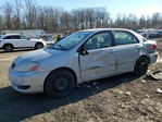 Toyota Corolla 2008