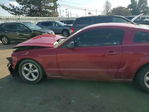 Ford Mustang 2008