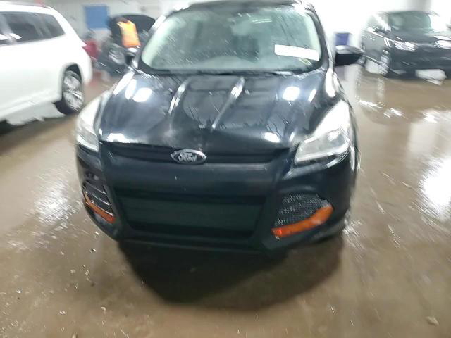 Ford Escape 2013