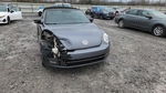 Volkswagen Beetle 2013