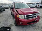 Ford Escape 2008