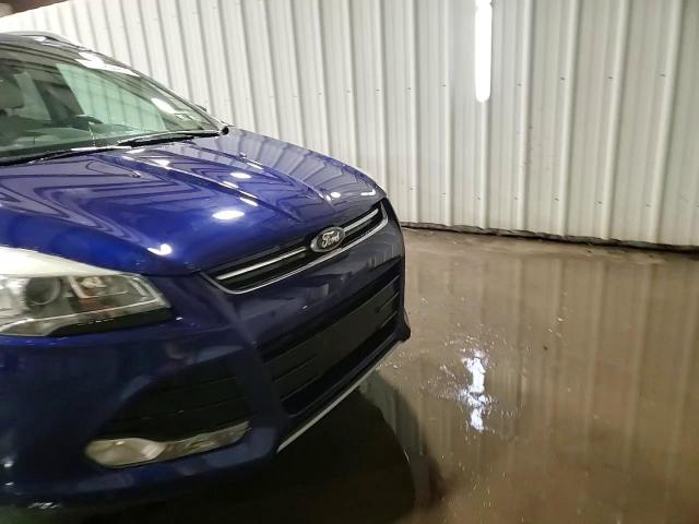 Ford Escape 2014