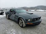 Ford Mustang 2007
