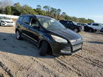 Ford Escape 2016