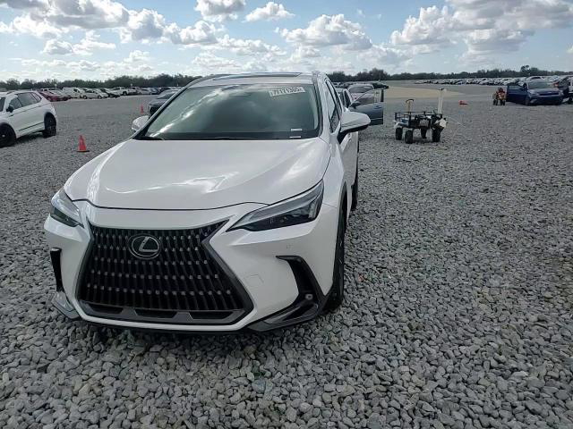 Lexus NX 2024