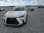 Lexus NX 2024