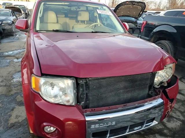 Ford Escape 2010