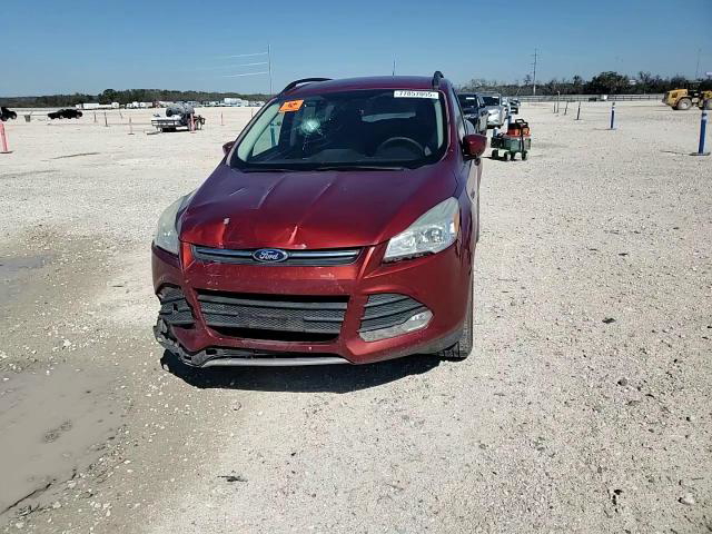 Ford Escape 2014