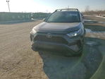 Toyota RAV 4 2025
