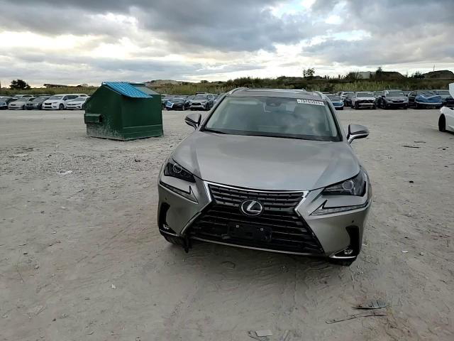 Lexus NX 2020