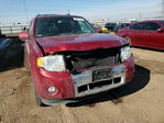 Ford Escape 2012