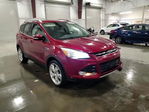 Ford Escape 2013