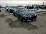 Lexus ES 2025