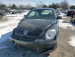 Volkswagen Beetle 2014