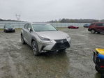 Lexus NX 2018