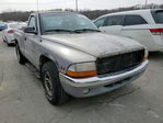 Dodge Dakota 2000