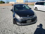 Kia Rio 2015