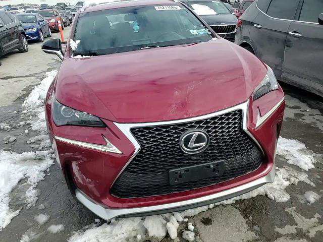 Lexus NX 2015