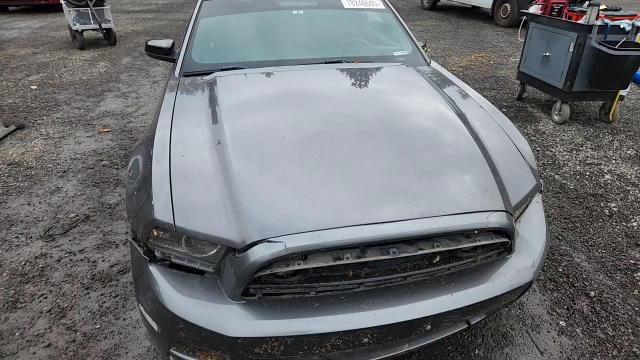 Ford Mustang 2013