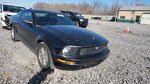 Ford Mustang 2007