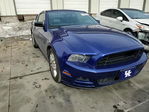 Ford Mustang 2013
