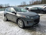 Ford Escape 2020