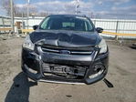 Ford Escape 2016