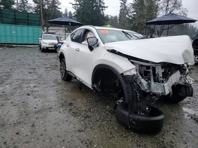 Lexus NX 2024