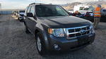 Ford Escape 2012