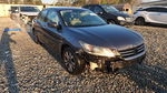 Honda Accord 2013