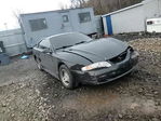 Ford Mustang 1998