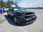 Dodge Charger 2023