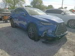 Lexus NX 2025