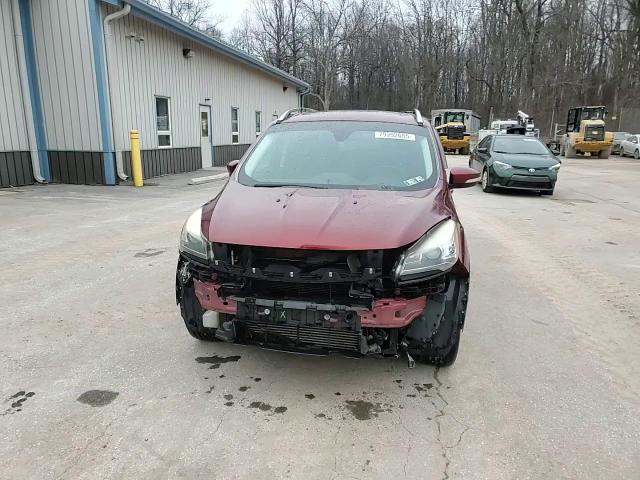 Ford Escape 2014