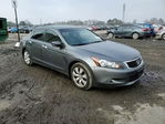 Honda Accord 2010