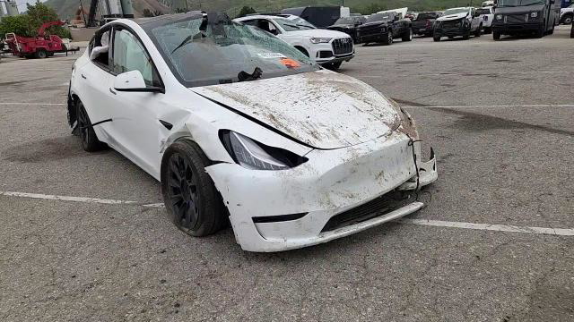 Tesla Model Y 2020