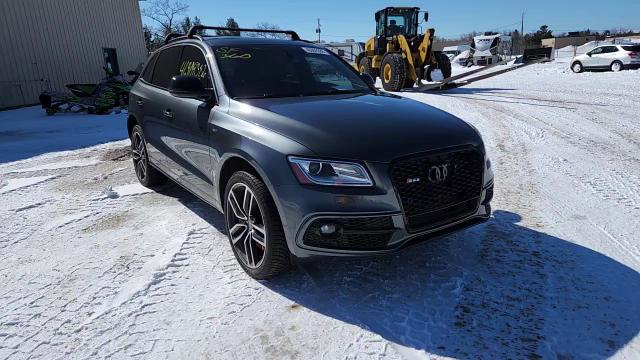 Audi SQ5 2017