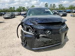 Lexus RX 2024