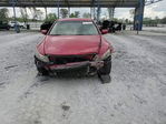 Honda Accord 2010