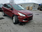 Ford Escape 2014