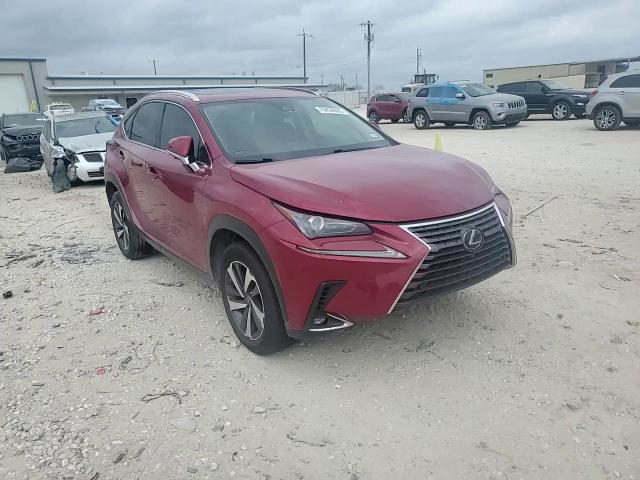 Lexus NX 2021