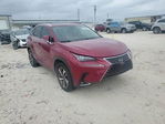 Lexus NX 2021