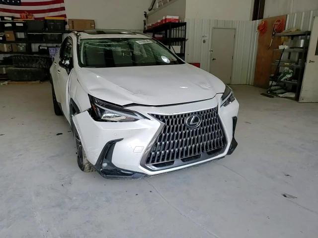 Lexus NX 2025