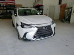 Lexus NX 2025